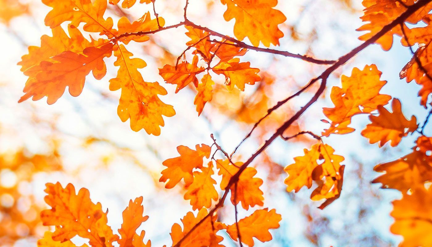 Podzim už je zase tady a s ním i nepříjemné výkyvy počasí